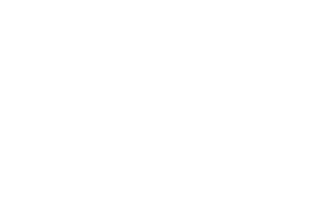 Pon Metro
